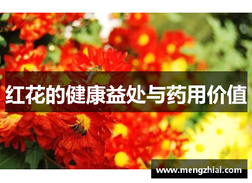 红花的健康益处与药用价值