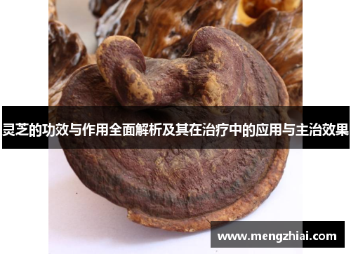 灵芝的功效与作用全面解析及其在治疗中的应用与主治效果